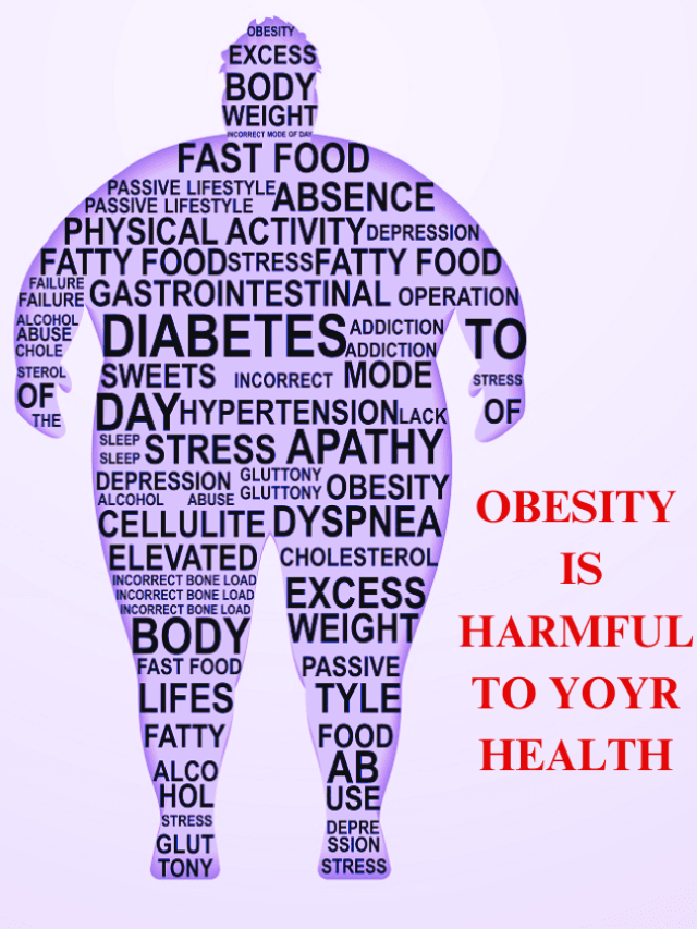 obesity is harmful