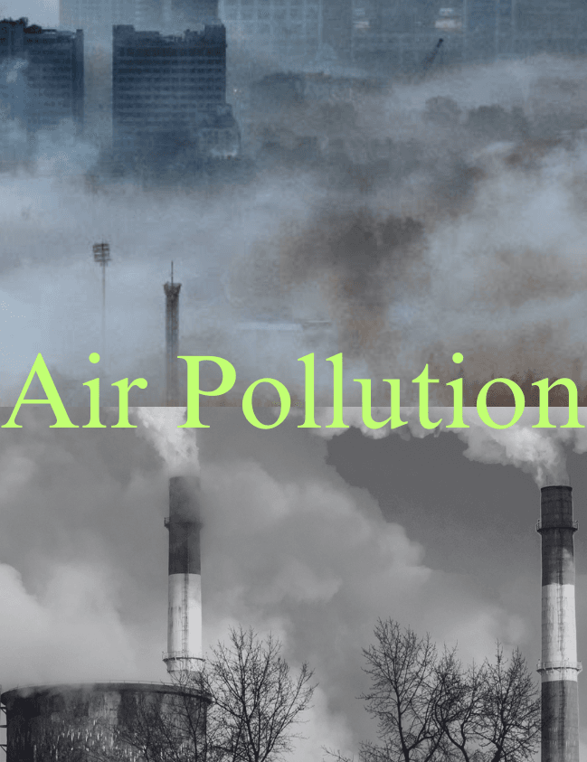 pollution crisis
