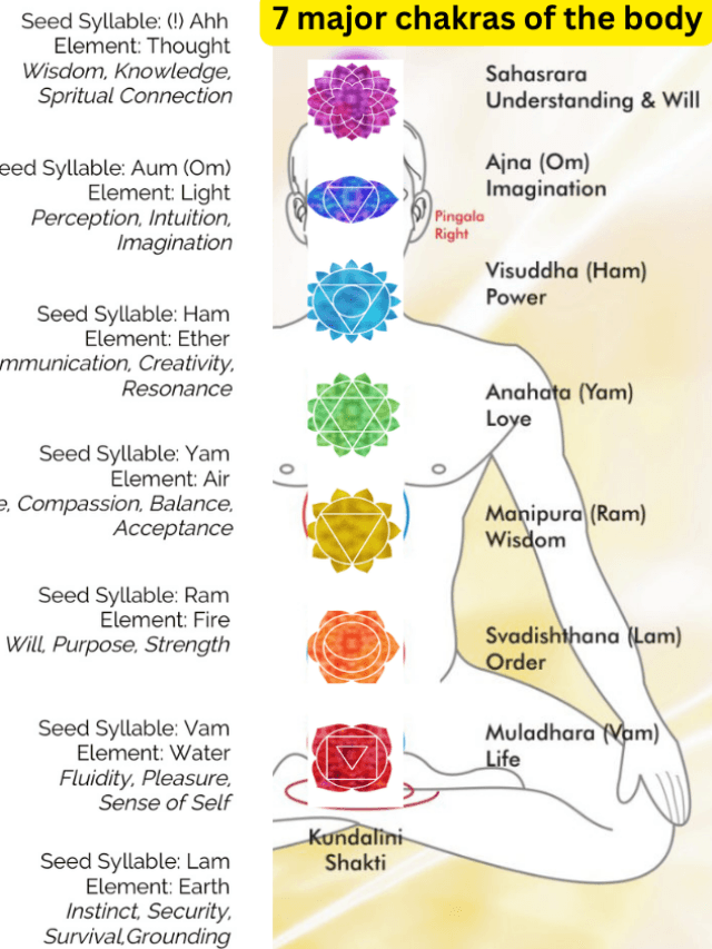 7 chakras