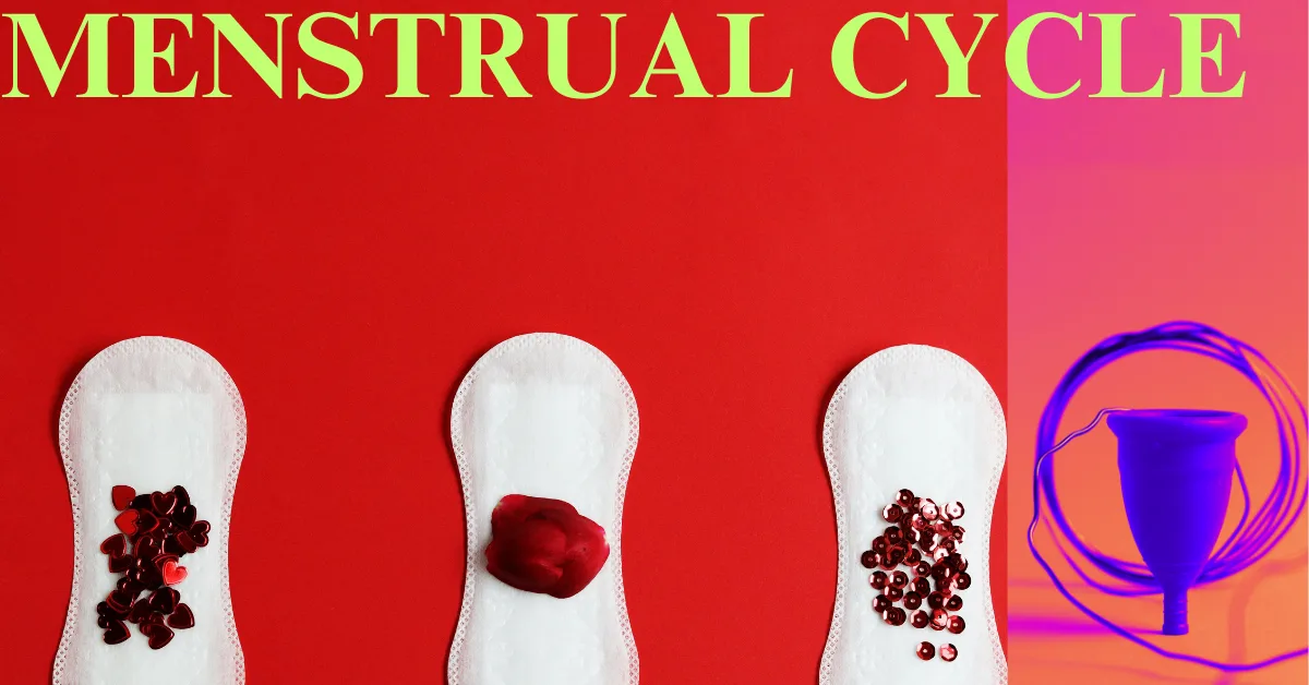 MENSTRUAL CYCLE