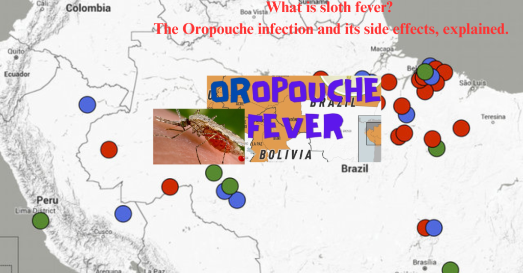 What is sloth fever? The Oropouche infection and its 10 side effects, explained.