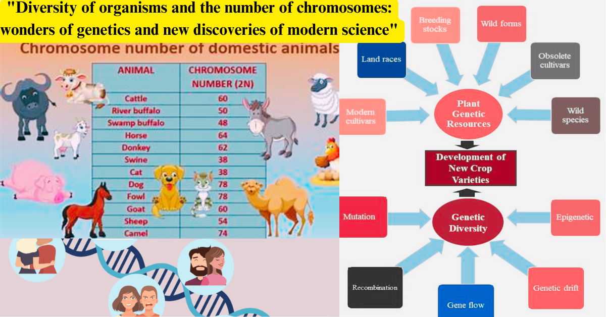 "Diversity of organisms and the number of chromosomes: wonders of genetics and new discoveries of modern science"