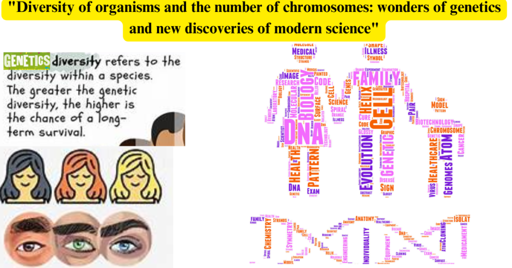 "Diversity of organisms and the number of chromosomes: wonders of genetics and new discoveries of modern science"