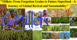 "Millets: From Forgotten Grains to Future Superfood - A Journey of Global Revival and Sustainability"