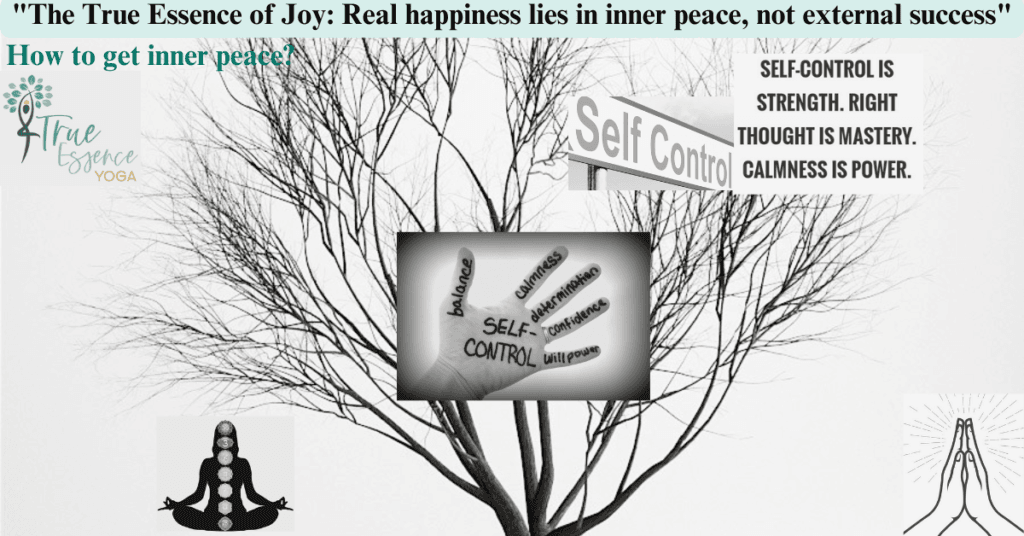 "The True Essence of Joy: Real happiness lies in inner peace, not external success"