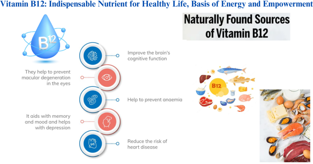 Vitamin B12: Indispensable Nutrient for Healthy Life, Basis of Energy and Empowerment