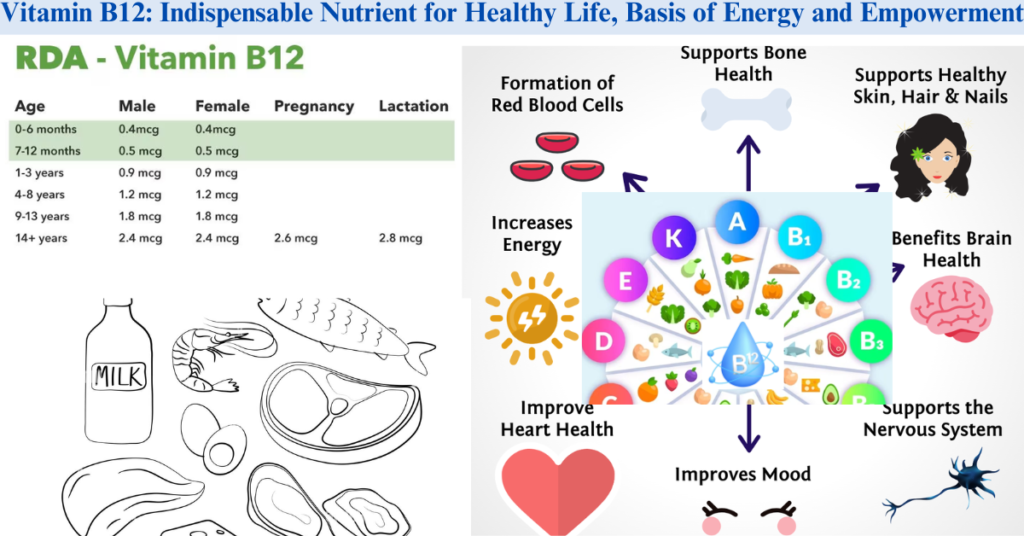 Vitamin B12: Indispensable Nutrient for Healthy Life, Basis of Energy and Empowerment