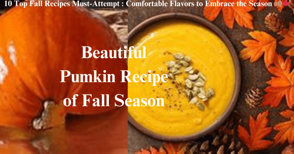 Top 10 Fall Recipes Must-Attempt : Comfortable Flavors to Embrace the ...