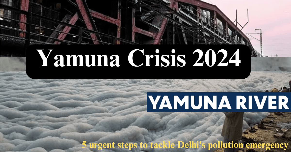 Yamuna River Crisis 2024: 5 urgent steps to tackle Delhi's pollution emergency