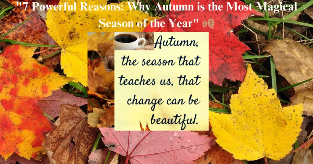 "7 Powerful Reasons: Why Autumn is the Most Magical Season of the Year" 🍂