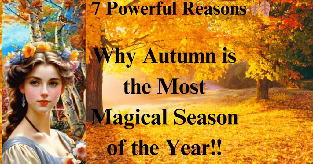 "7 Powerful Reasons: Why Autumn is the Most Magical Season of the Year" 🍂