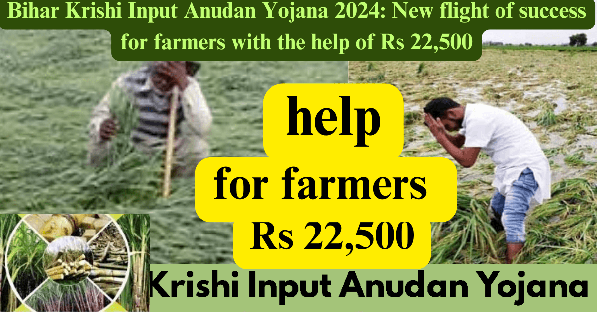 Bihar Krishi Input Anudan Yojana 2024: New flight of success for farmers with the help of Rs 22,500