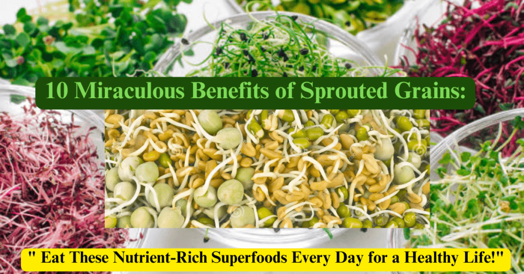 "10 Miraculous Benefits of Sprouted Grains: Eat These Nutrient-Rich Superfoods Every Day for a Healthy Life!"