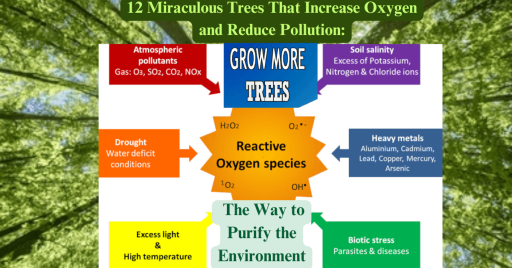 12 Miraculous Trees That Increase Oxygen and Reduce Pollution: The Way to Purify the Environment