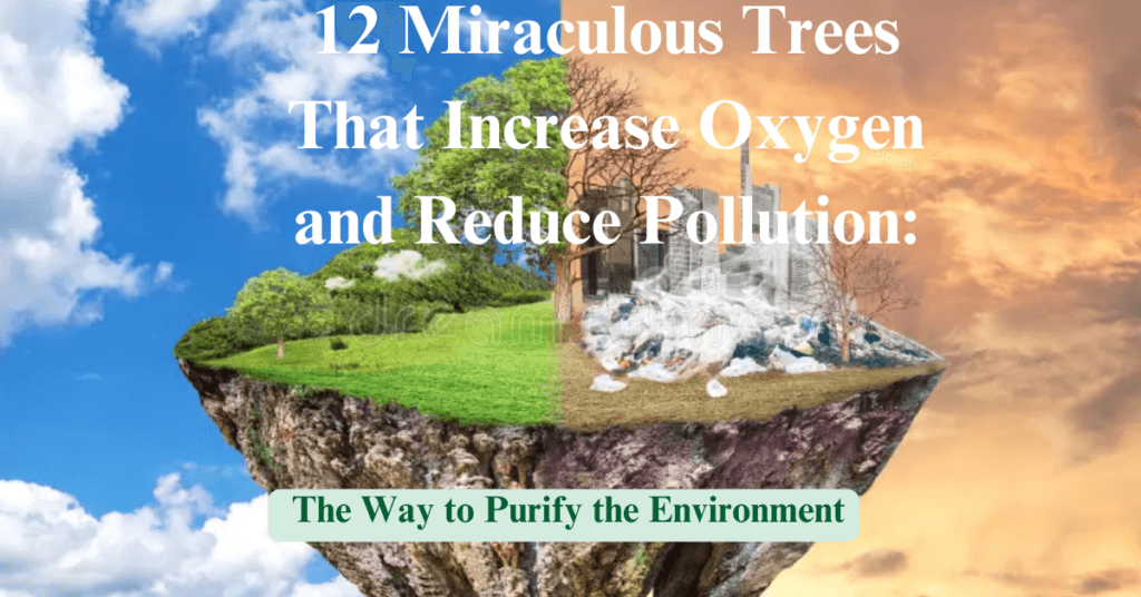 12 Miraculous Trees That Increase Oxygen and Reduce Pollution: The Way to Purify the Environment