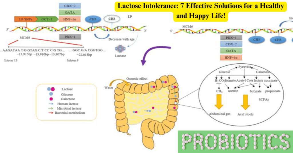 Lactose Intolerance: 7 Effective Solutions for a Healthy and Happy Life!