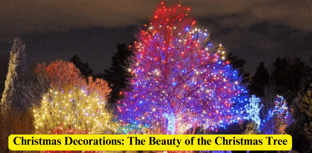 Global Christmas Traditions