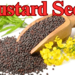 Mustard Seeds