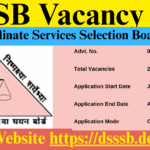 DSSSB Vacancy 2025: Delhi Govt Announces 2,119 Prestigious Posts – Check Exciting Details DSSSB Vacancy 2025
