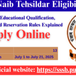 Punjab Naib Tehsildar Eligibility 2025