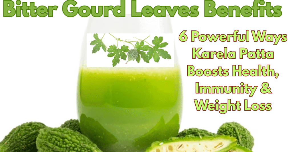 Bitter Gourd Leaves Benefits