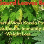 Bitter Gourd Leaves Benefits: 6 Powerful Ways Karela Patta Boosts Health, Immunity & Weight Loss Bitter Gourd Leaves Benefits