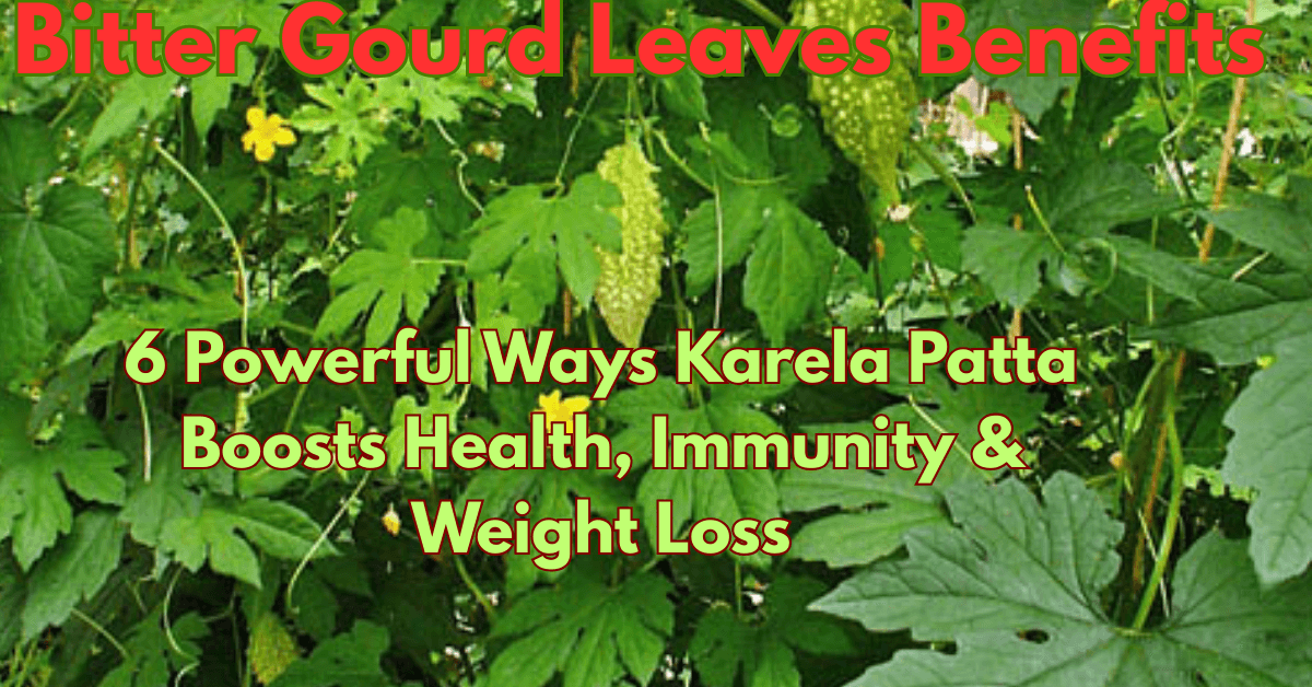 Bitter Gourd Leaves Benefits