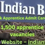 Indian Bank Apprentice Admit Card 2025 Out