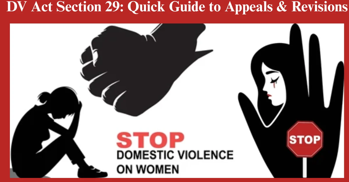 DV Act Section 29