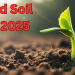 World Soil Day 2025: Protecting Our Living Soil for a Healthier Planet World Soil Day 2025