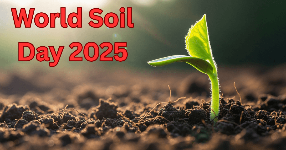 World Soil Day 2025