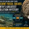 500 Million Year Old Fossil