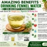Fennel Water Benefits